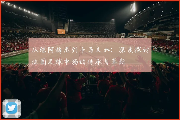 从琼阿梅尼到卡马文加：深度探讨法国足球中场的传承与革新