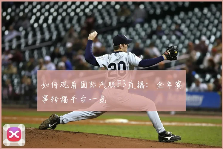 如何观看国际汽联F3直播:全年赛事转播平台一览